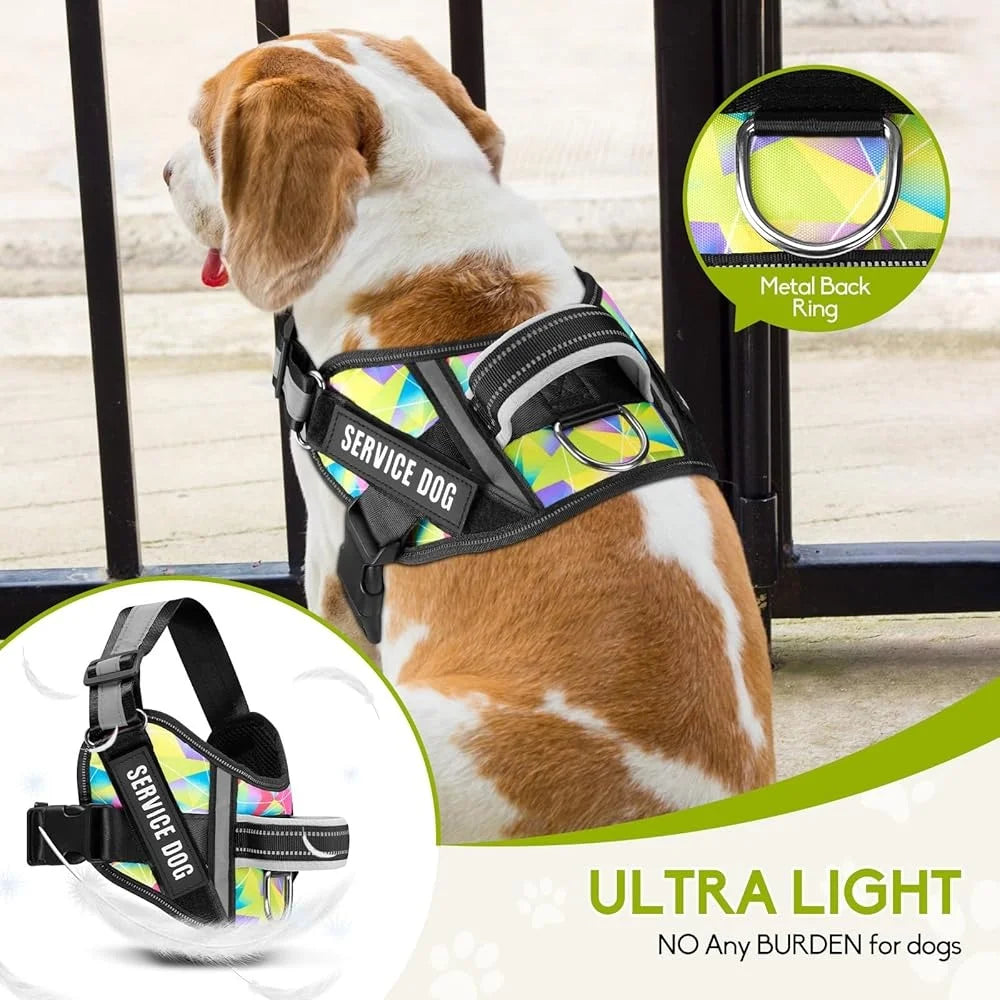 Service Dog Harness Leash Set Reflective No Pull Multi Color Training Vest Durable Lightweight for Small to XL Dogs