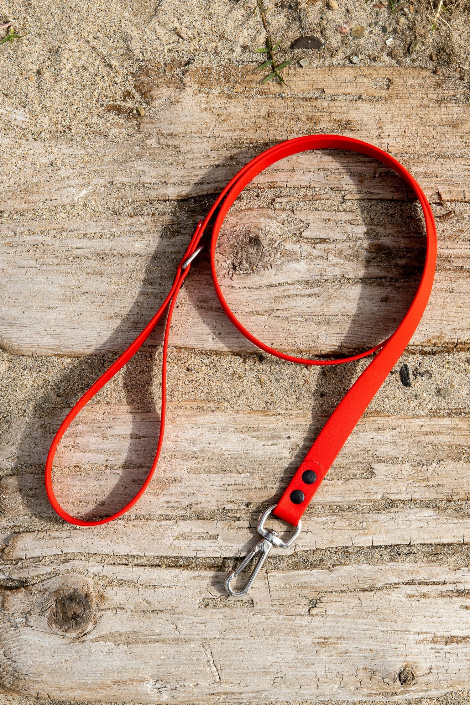 Leashes Collars Harnesses Trackers Control