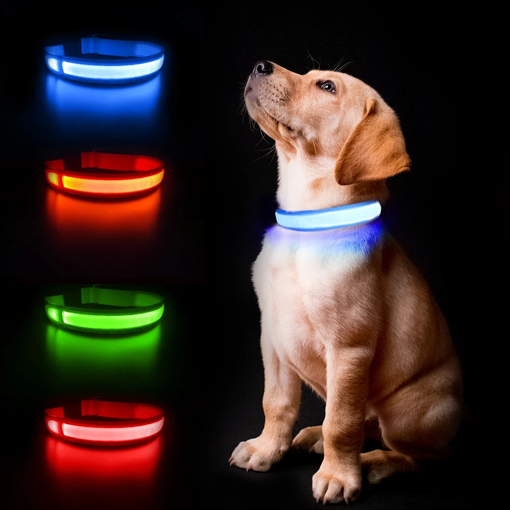 Masbrill Led Dog Collar Luminous Pet Supplies Waterproof Safety Glow Necklace Flashing Light Up Collars Accessories
