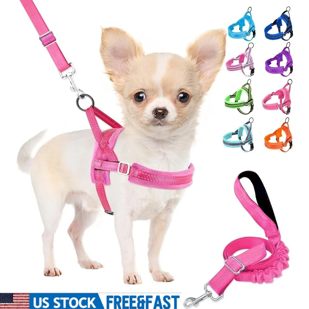 Soft Padded Dog Harness Leash Set Adjustable Reflective Vest for Small Dogs Quick Fit Neck Chest Safe Walking 4ft Leash