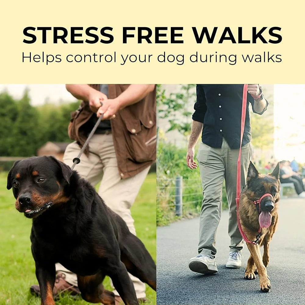 Dog Headcollar with Leash Safety Strap Adjustable Comfortable Fit Reflective Nylon Design Ideal for Dogs