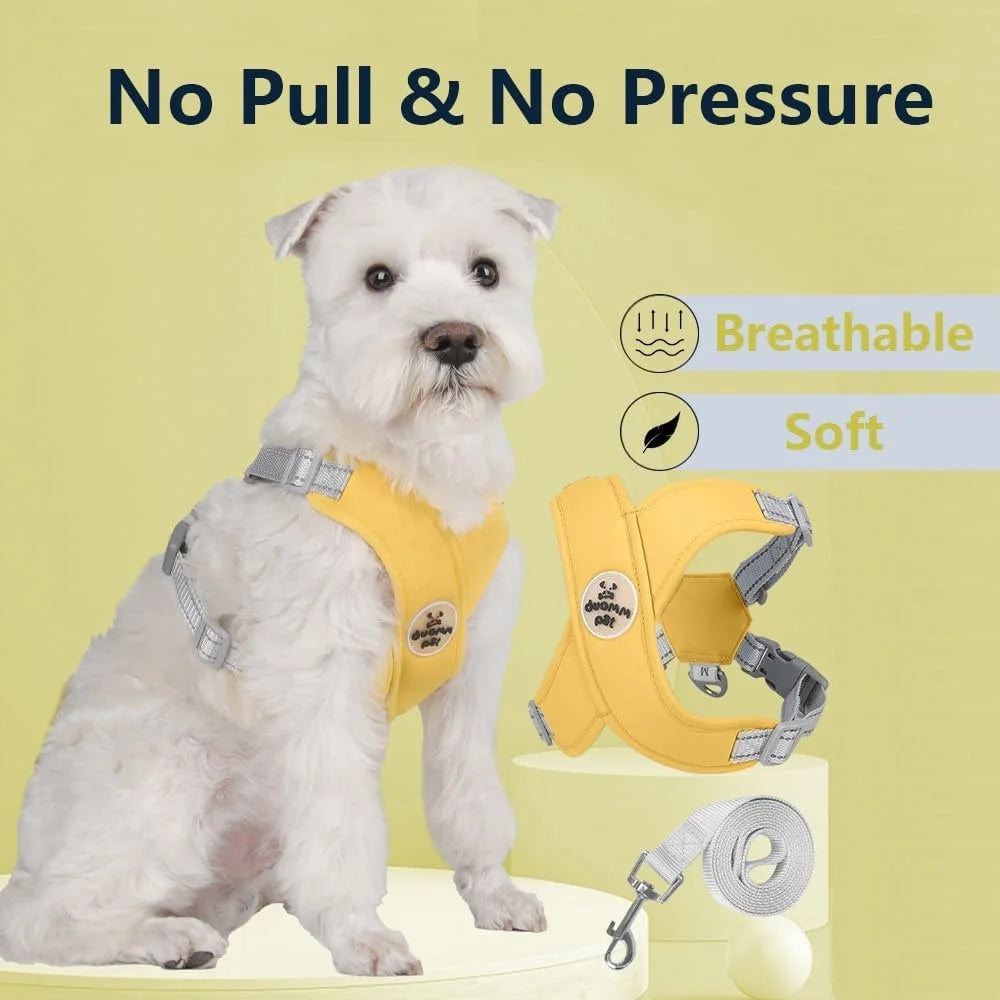No Pull Dog Harness Leash Set Adjustable Comfortable Vest Reflective Mesh for Dog Training and Outdoor Activities