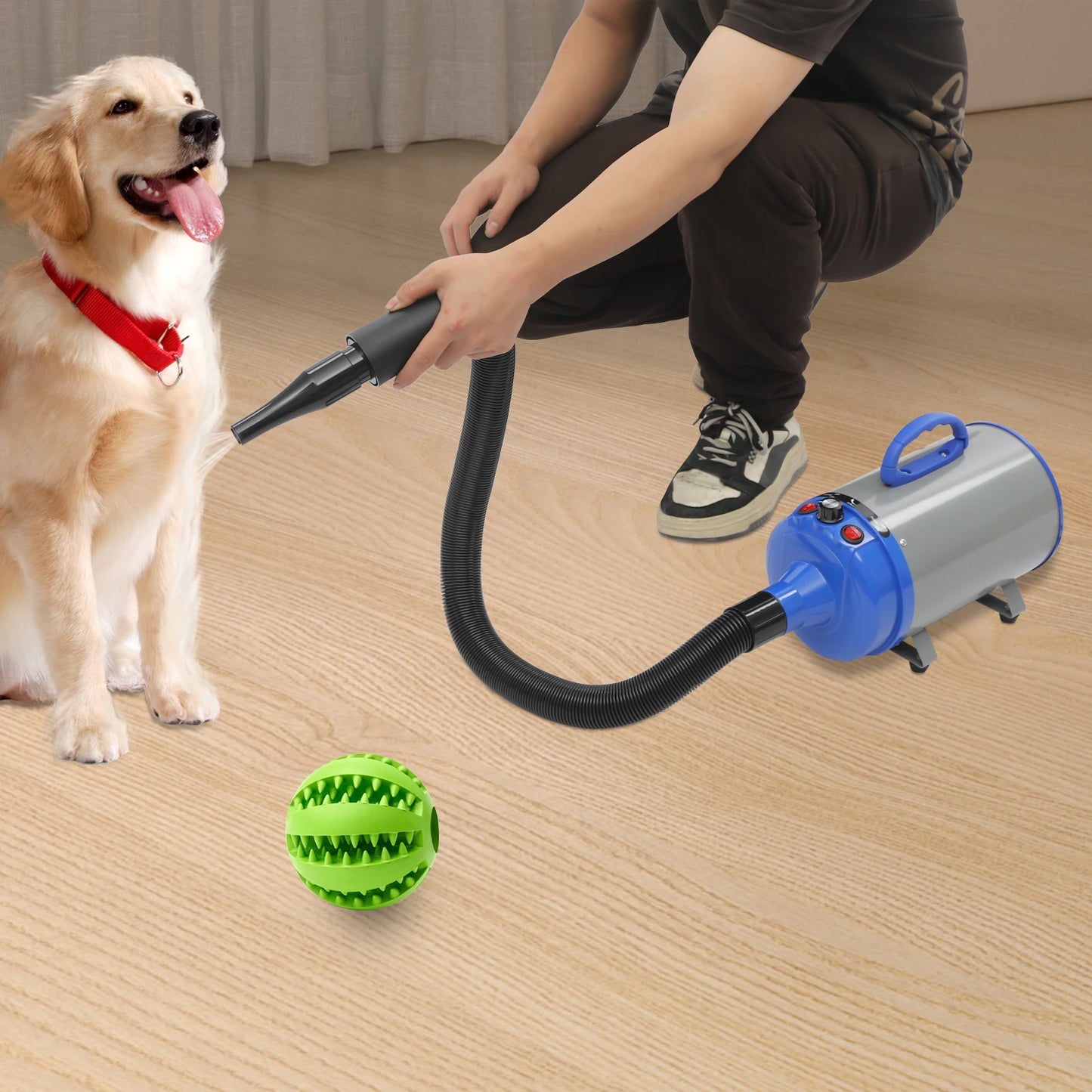 2200W Pet Hair Dryer, Adjustable Design Wind Speed, Electric Dog Cat Hair Dryer, Pet Drying Machine with 4 Nozzles