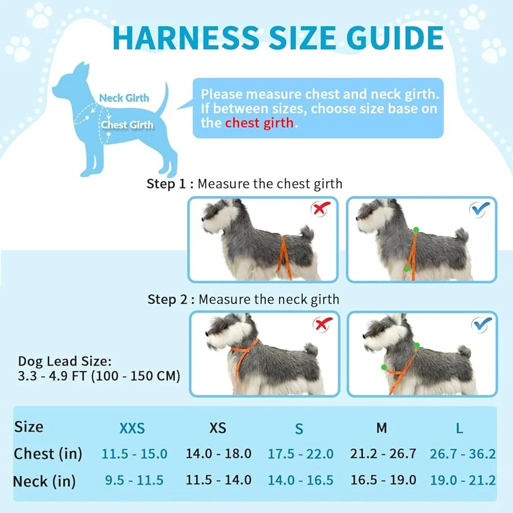 Soft Padded Dog Harness Leash Set Adjustable Reflective Vest for Small Dogs Quick Fit Neck Chest Safe Walking 4ft Leash