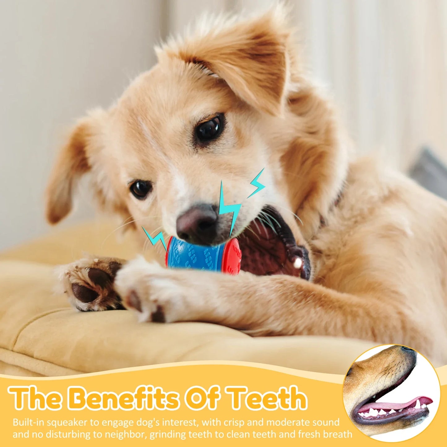 6Pcs Squeaky Balls Toys Dogs Interactive Toys TPR Dog Chew Toy for Dog Pet Teeth Cleaning Bite Resistance Pet Supplies