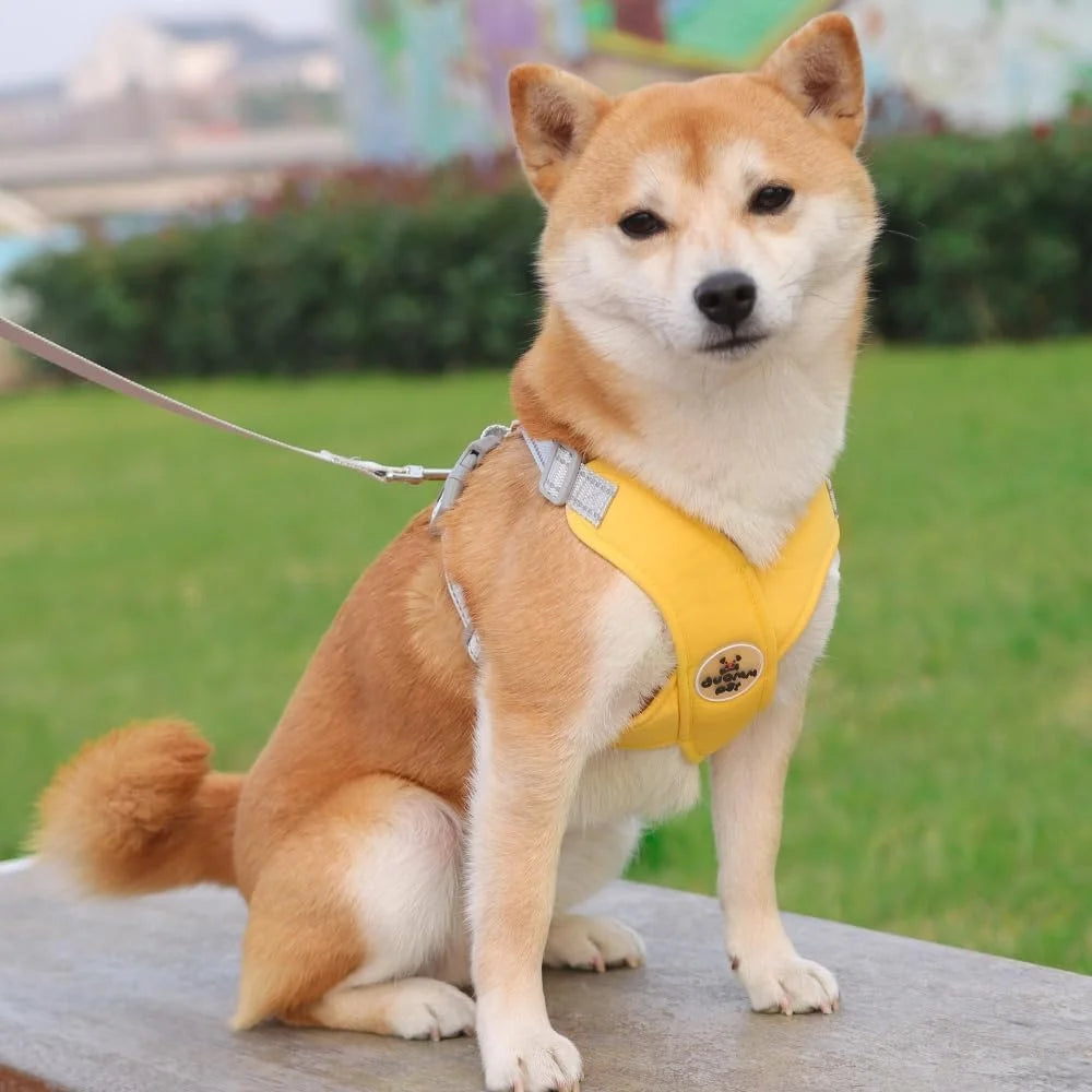 No Pull Dog Harness Leash Set Adjustable Comfortable Vest Reflective Mesh for Dog Training and Outdoor Activities