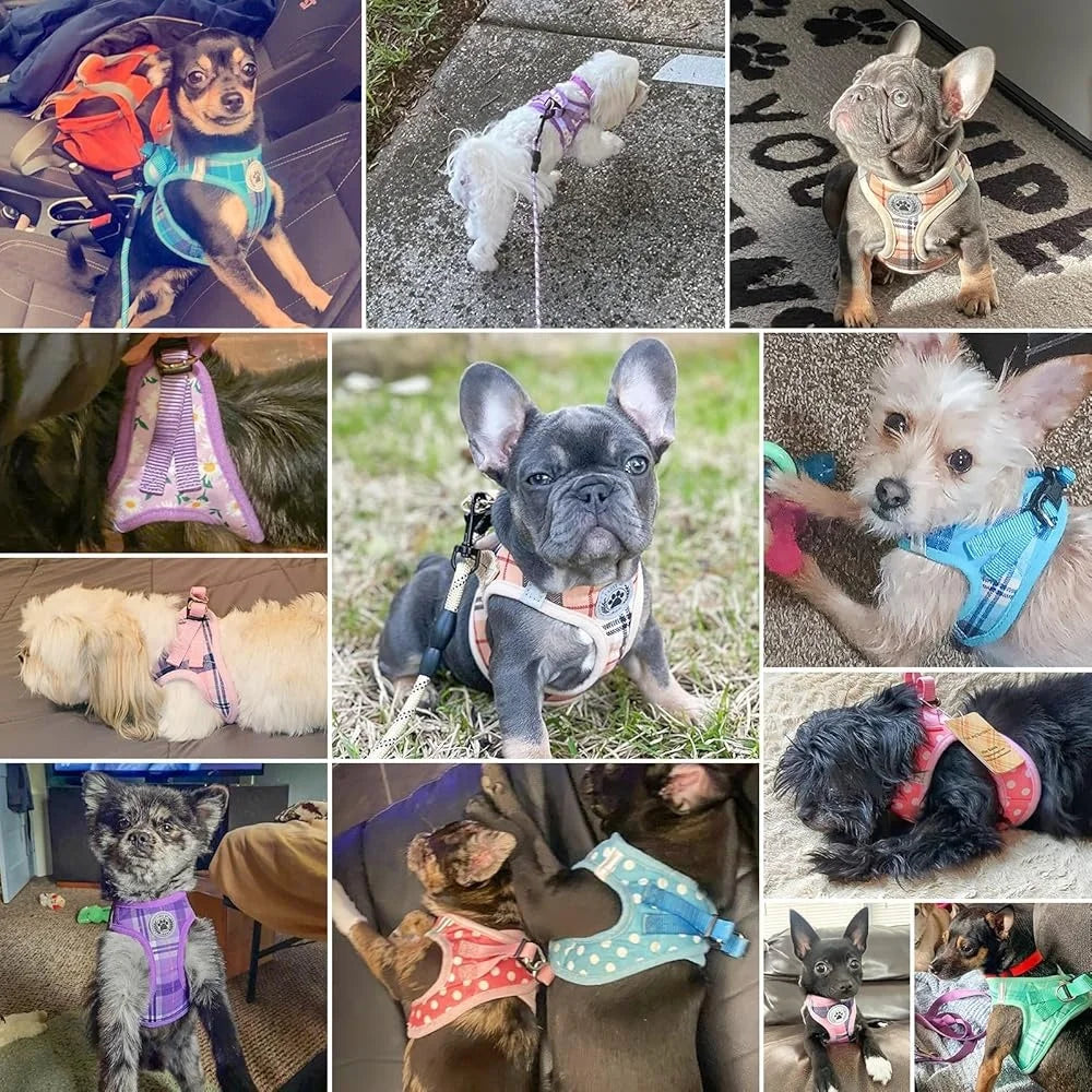 Floral Dog Harness and Leash Set No Pull No Choke Escape Proof Step In Vest Padded Handle Lightweight Durable Breathable Small