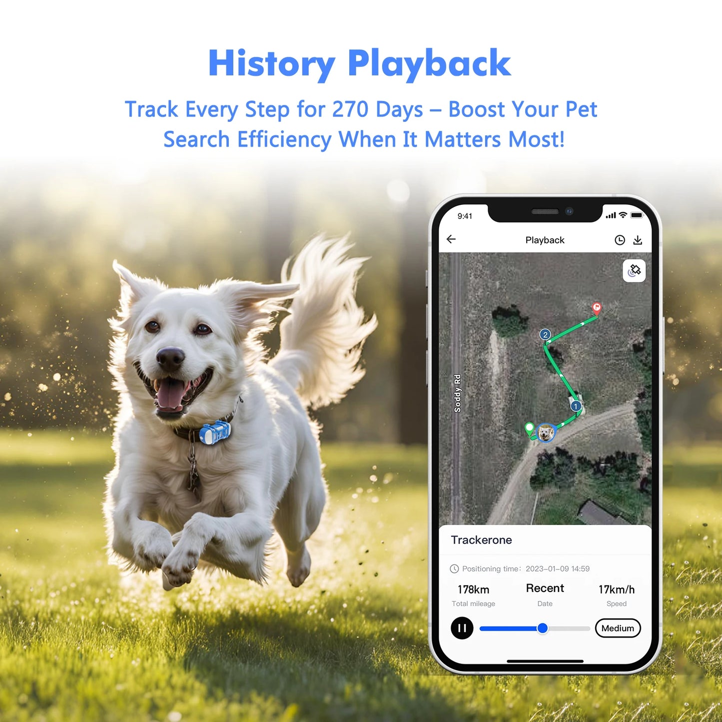 ‌4G Dog Cat GPS Tracker for Pets - Waterproof Smart Locator with App, Live Tracking & Light/Sound Search, Free Trial Included