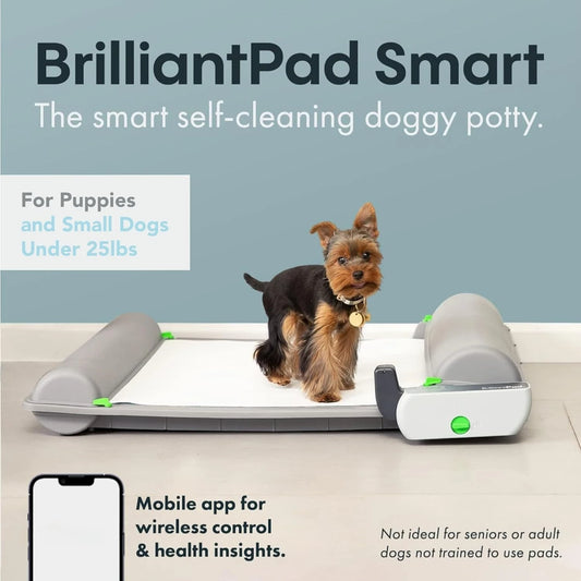 Smart Indoor Dog Potty For Small Pets Self Cleaning With Odor Control AI Health Monitoring Puppy Training Alternative