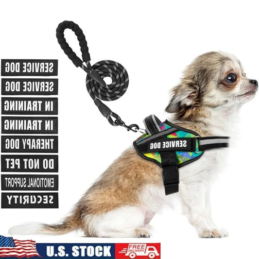 Service Dog Harness Leash Set Reflective No Pull Multi Color Training Vest Durable Lightweight for Small to XL Dogs
