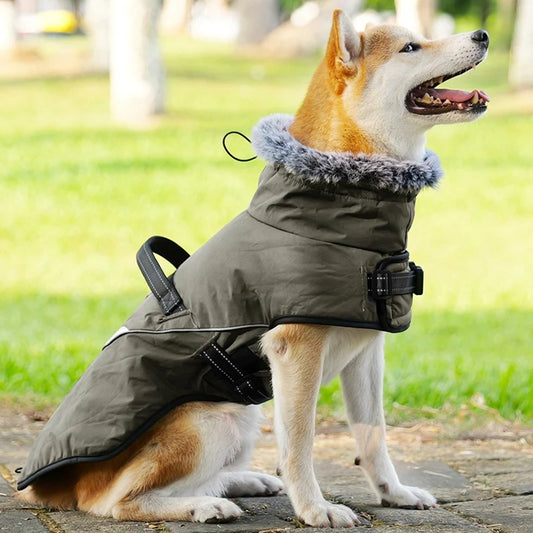 Winter Dog Jacket with Harness for Small and Large Dogs Waterproof Coat with Fur Collar for Labrador and French Bulldog