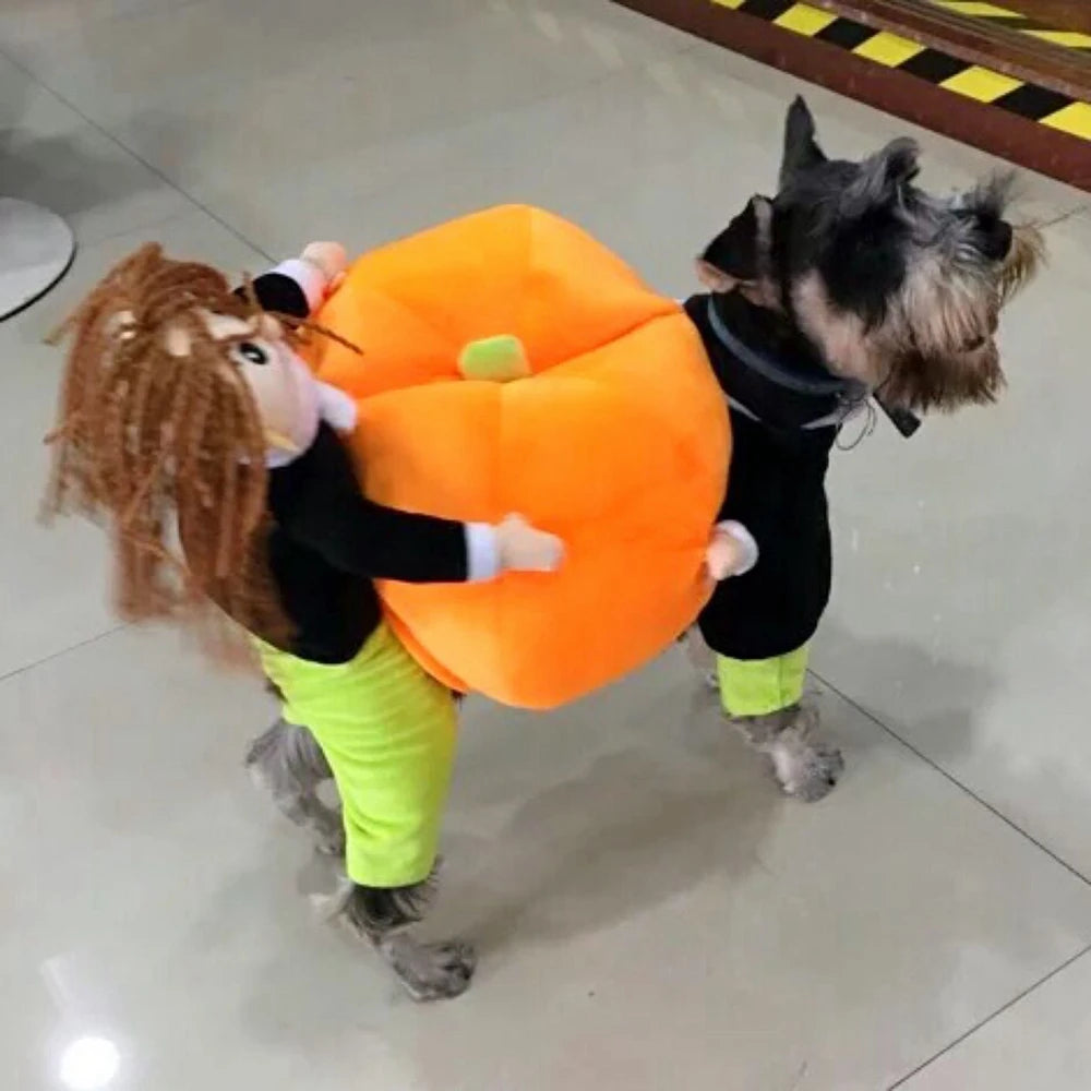 Funny Pet Cosplay Costume for Small and Medium Dogs and Cats Pumpkin Leotard for Halloween and Christmas