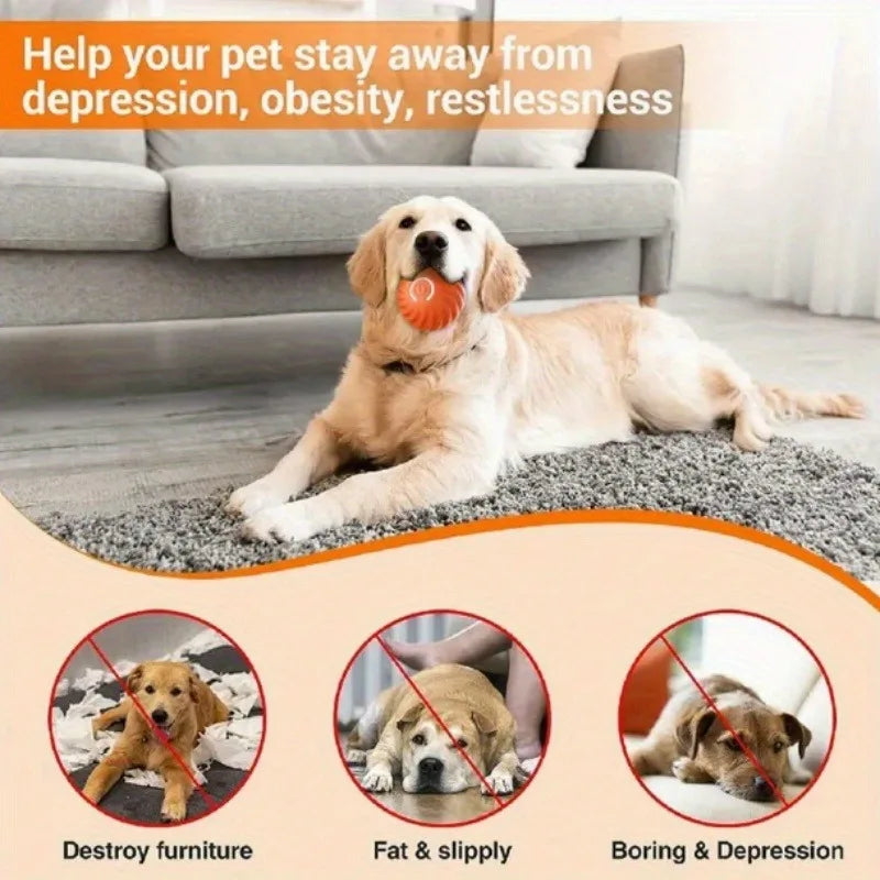 1 5 10 Pieces Blue Orange Pet Toy Ball Plastic Rechargeable Cat and Dog Toy for Home and Outdoors