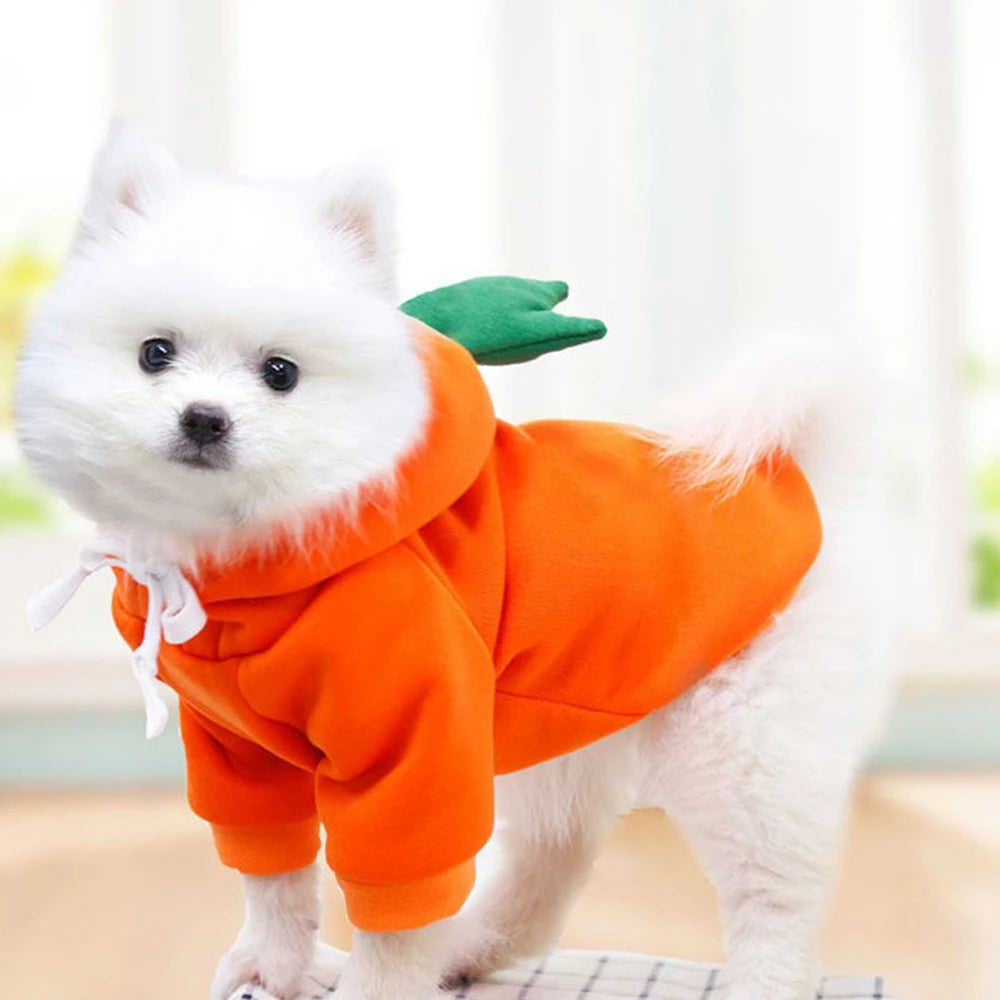 Cute Fruit Dog Clothes for Small Dogs Hoodies Warm Fleece Pet Clothing Puppy Cat Christmas Costume Coat Chihuahua Jacket Suits