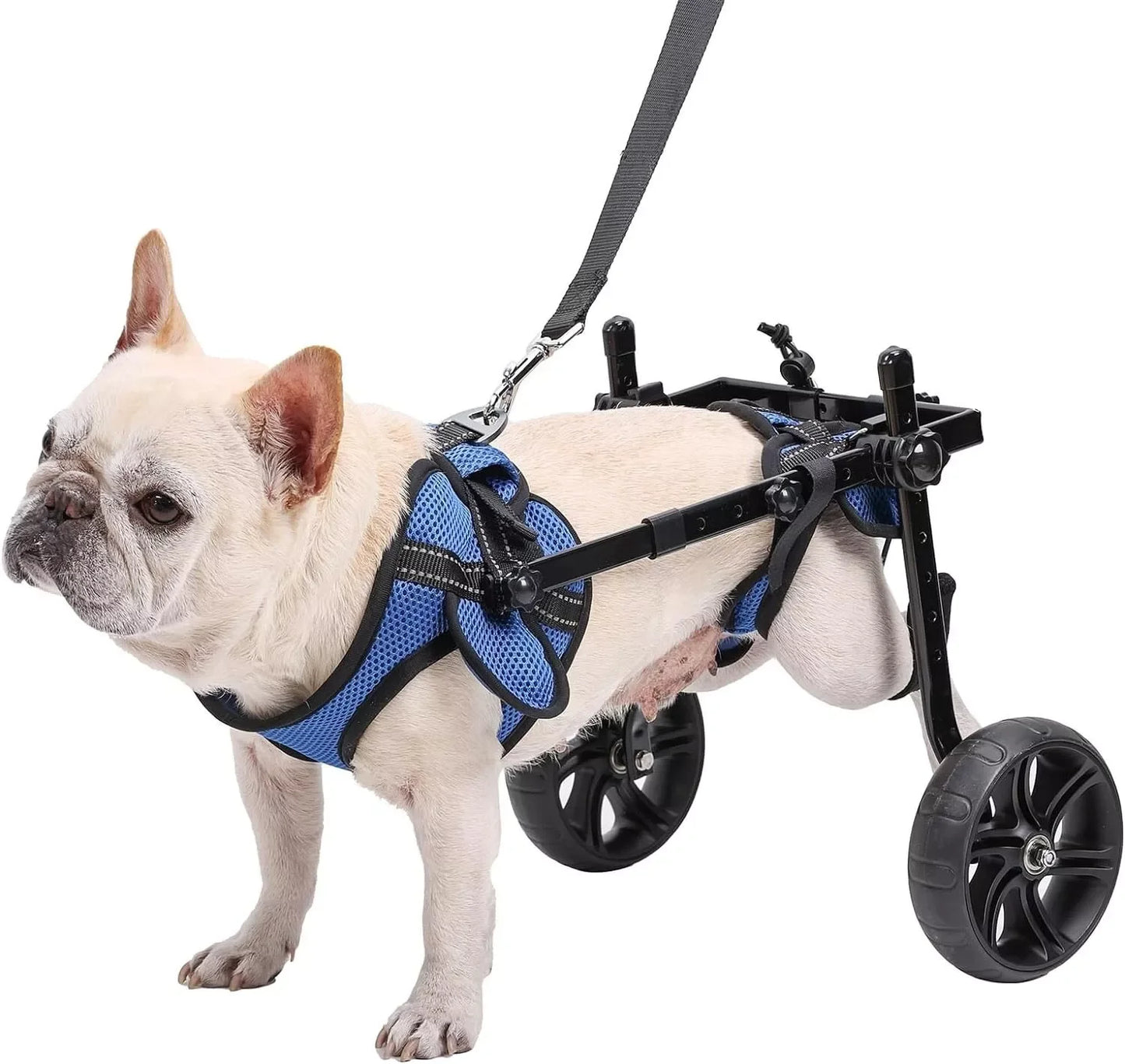 Dog Wheelchair for Back Legs with Upgraded All Terrain Tires and Durable Bearings Adjustable Dog Wheelchair Reflective Safety Design