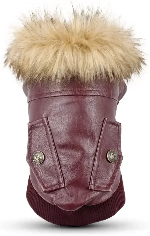 Medium Dog Winter Coat Waterproof PU Leather Jacket for Small Dogs and Puppies