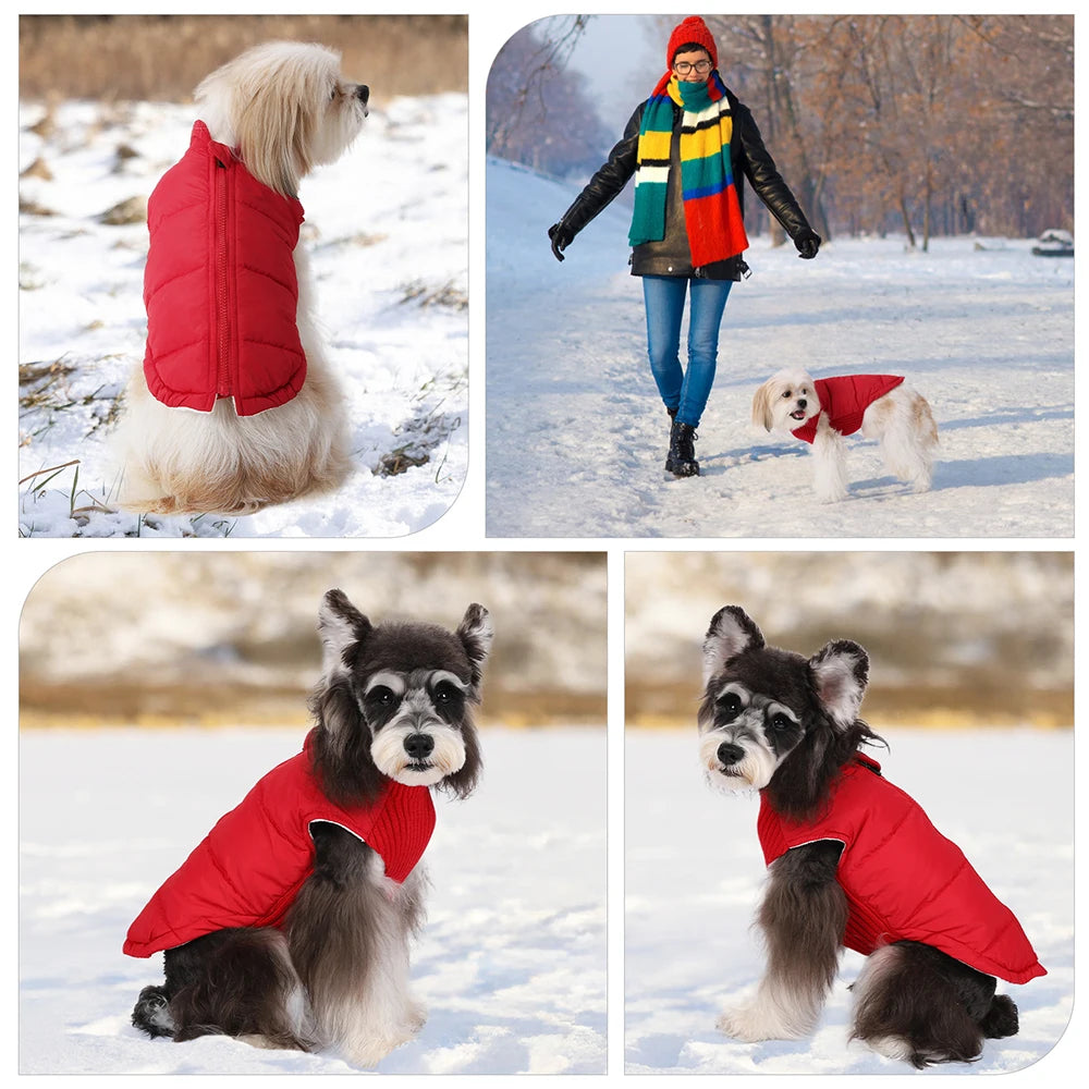 Pet Knitted Leisure Dog Vest Jacket with Zipper for Small Medium Dogs Chihuahua French Bulldog Autumn Winter Warm Coats