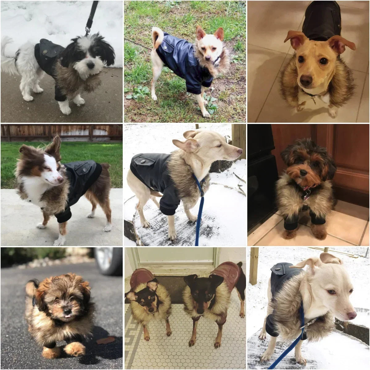 Medium Dog Winter Coat Waterproof PU Leather Jacket for Small Dogs and Puppies