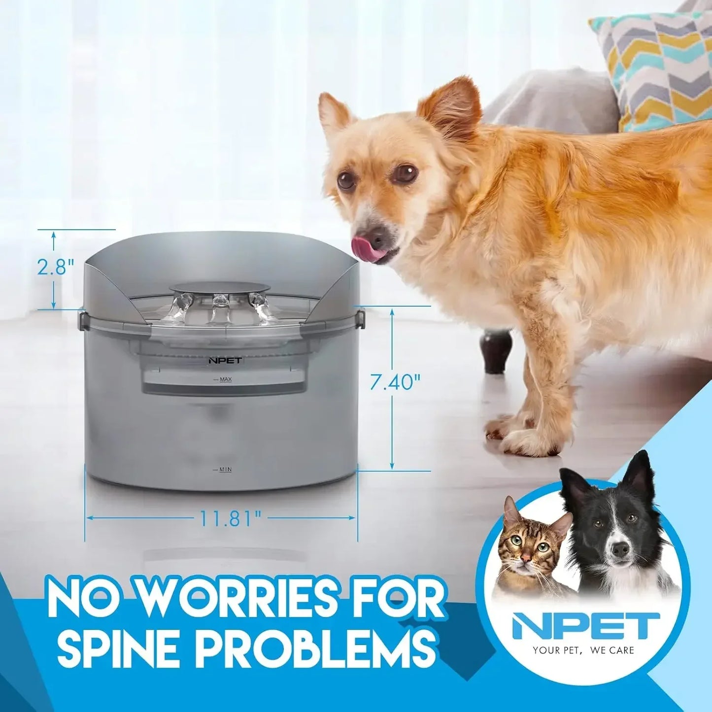 NPET Dog Water Fountain 2 Gallon Automatic Dog Water Dispenser with Splatter Guard for Large Dogs and Multiple Pets