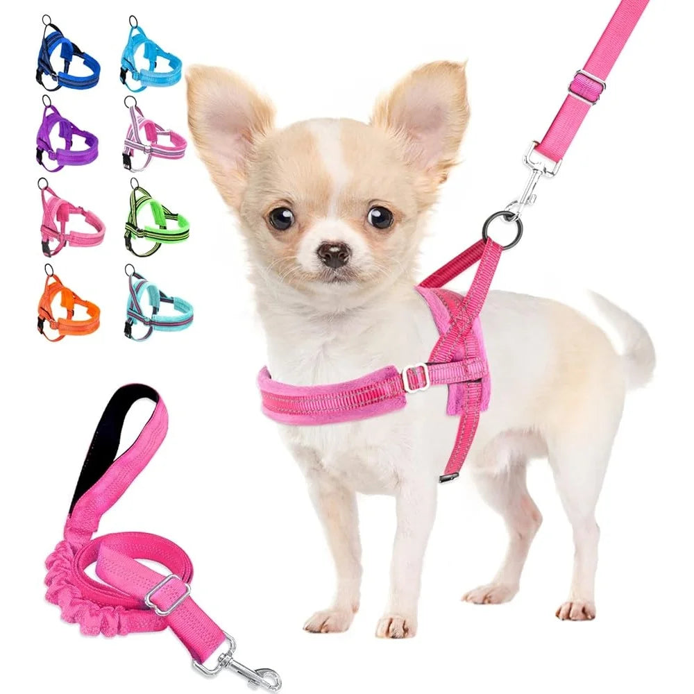 Soft Padded Dog Harness Leash Set Adjustable Reflective Vest for Small Dogs Quick Fit Neck Chest Safe Walking 4ft Leash