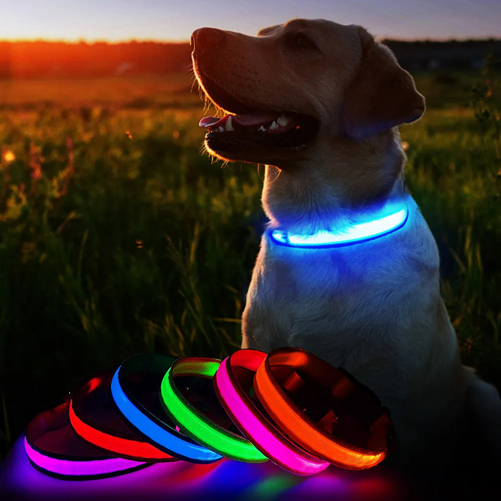 Masbrill Led Dog Collar Luminous Pet Supplies Waterproof Safety Glow Necklace Flashing Light Up Collars Accessories