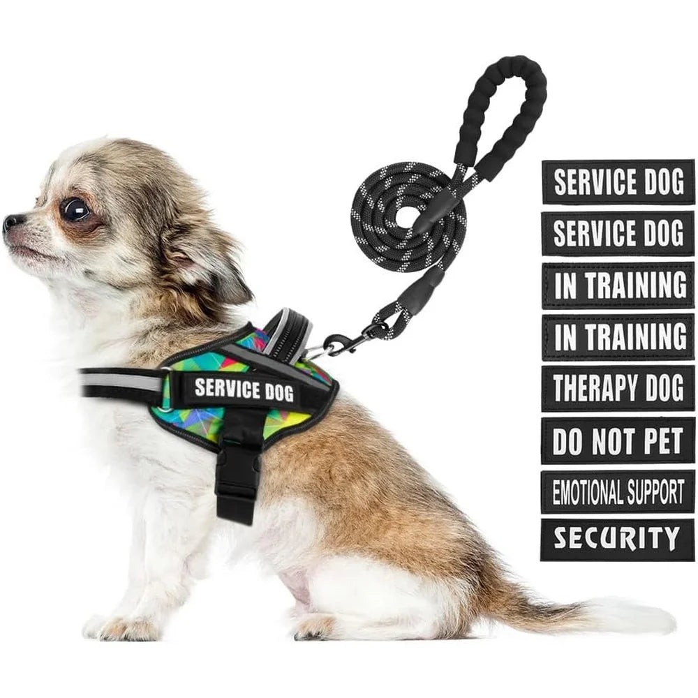 Service Dog Harness Leash Set Reflective No Pull Multi Color Training Vest Durable Lightweight for Small to XL Dogs