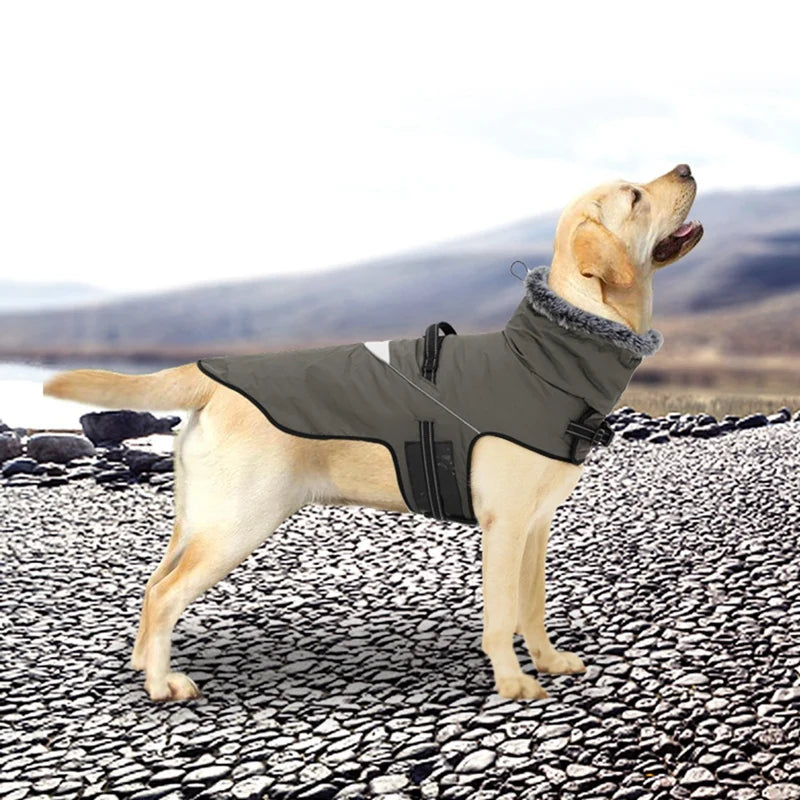 Winter Dog Jacket with Harness for Small and Large Dogs Waterproof Coat with Fur Collar for Labrador and French Bulldog