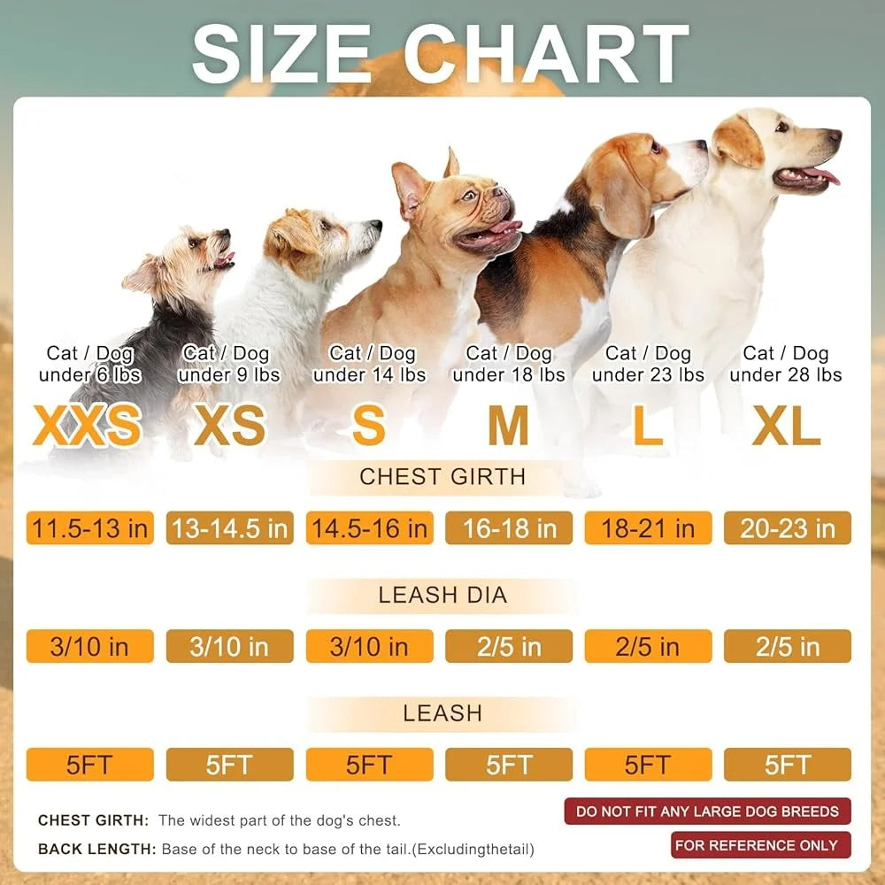 Floral Dog Harness and Leash Set No Pull No Choke Escape Proof Step In Vest Padded Handle Lightweight Durable Breathable Small