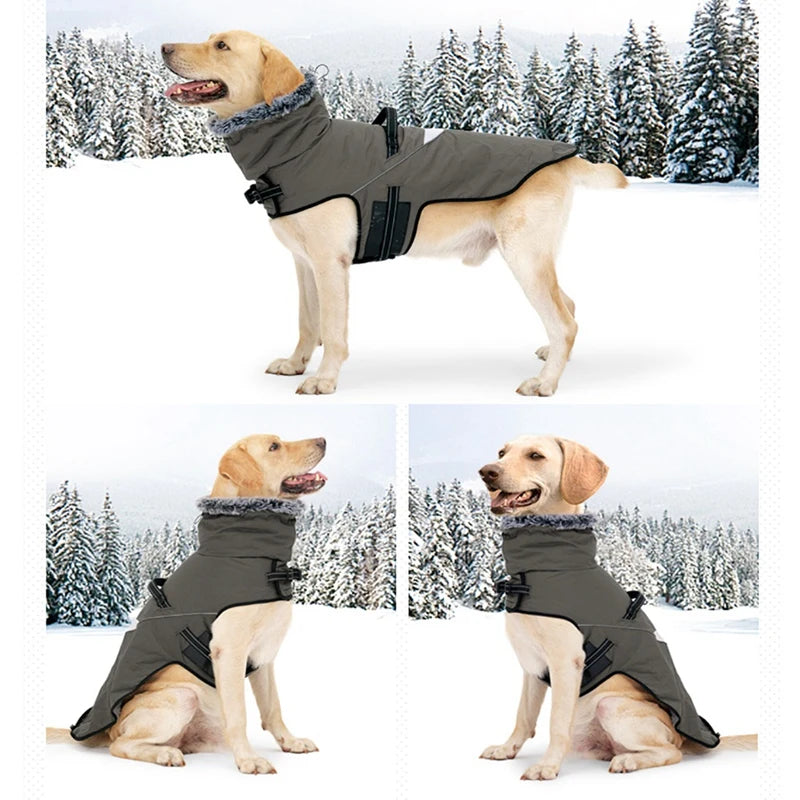 Winter Dog Jacket with Harness for Small and Large Dogs Waterproof Coat with Fur Collar for Labrador and French Bulldog