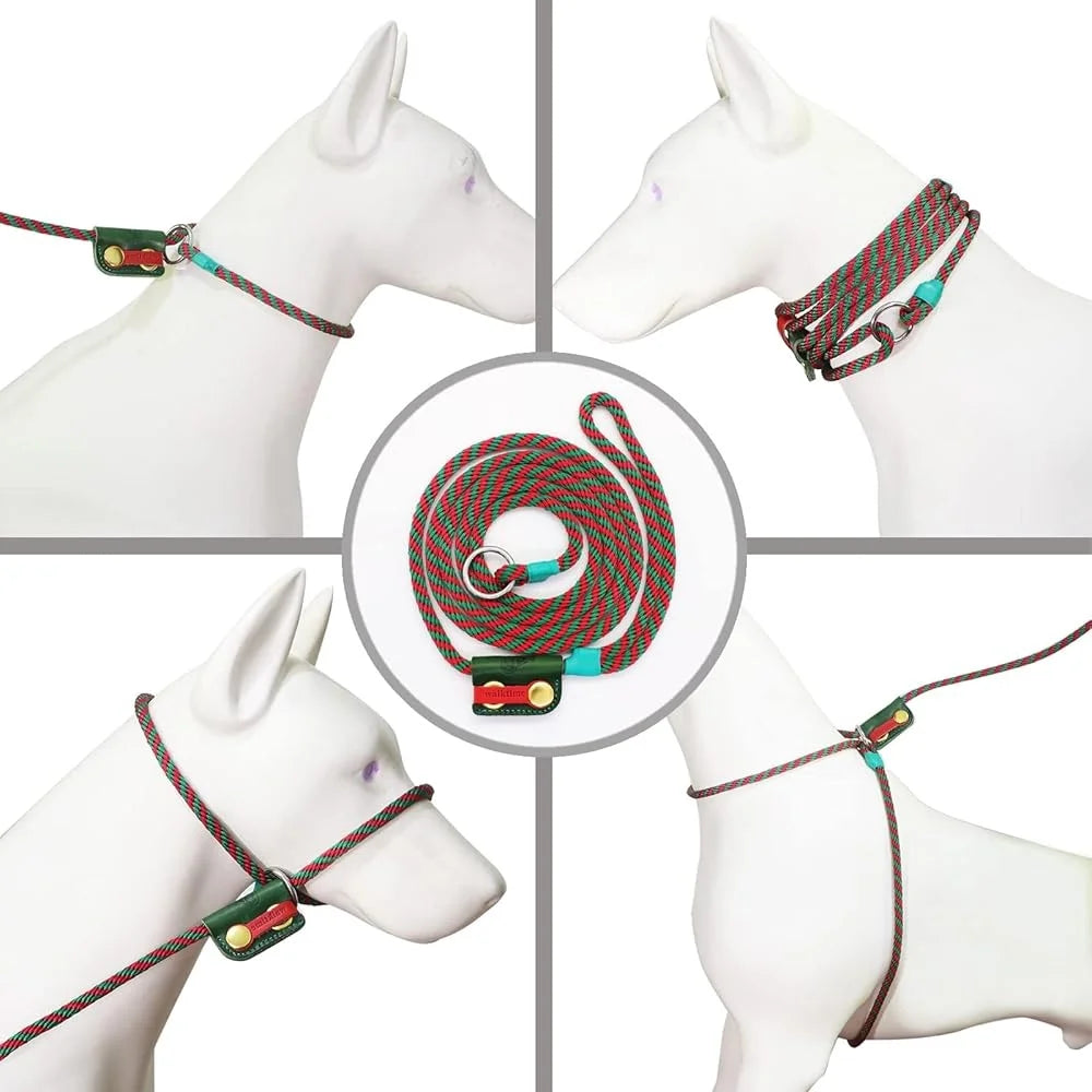 Slip Lead Dog Leash Set No Pull Harness Gentle Collar Training Rope Adjustable Pet Walking Scarf Multi Functional Leash