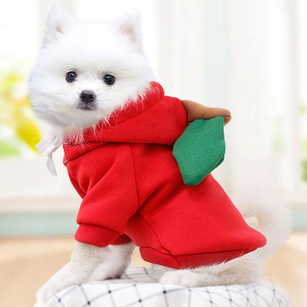 Cute Fruit Dog Clothes for Small Dogs Hoodies Warm Fleece Pet Clothing Puppy Cat Christmas Costume Coat Chihuahua Jacket Suits