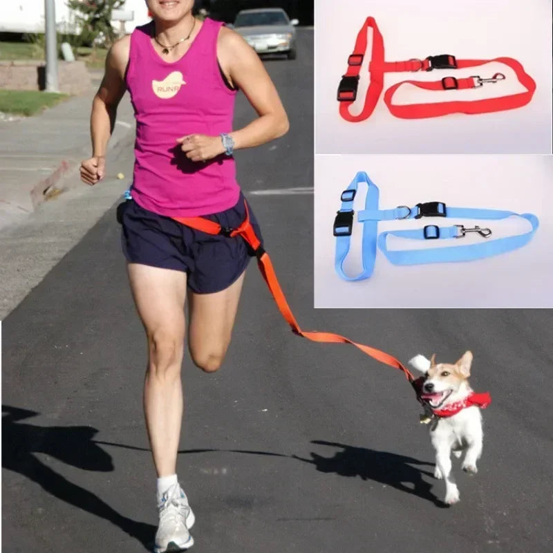 Adjustable Pet Lead Belt Traction Walking Leash for Dogs and Cats Free Rope Jogging Supplies