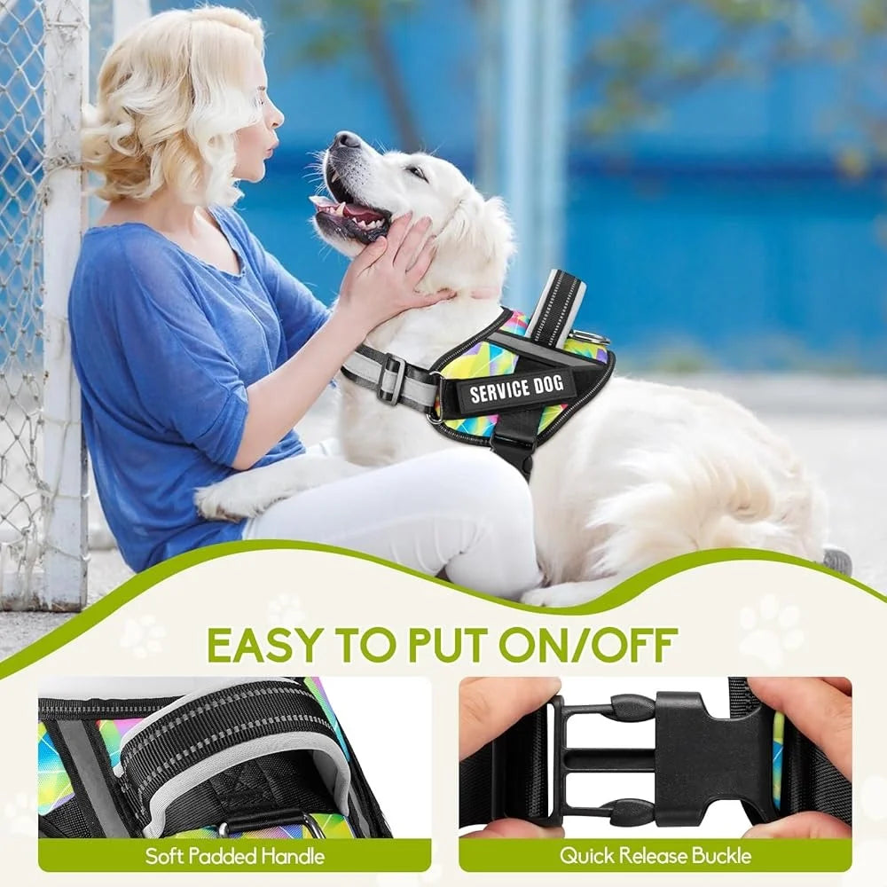 Service Dog Harness Leash Set Reflective No Pull Multi Color Training Vest Durable Lightweight for Small to XL Dogs