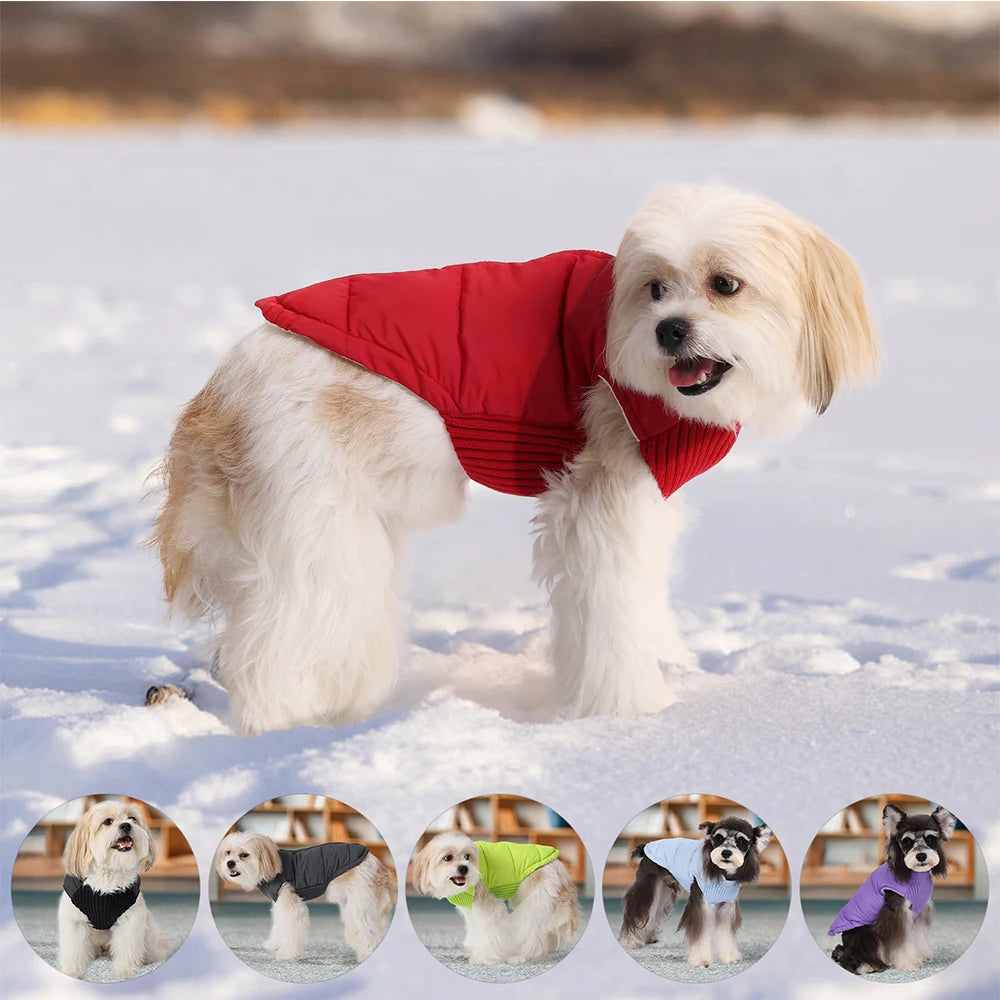 Pet Knitted Leisure Dog Vest Jacket with Zipper for Small Medium Dogs Chihuahua French Bulldog Autumn Winter Warm Coats