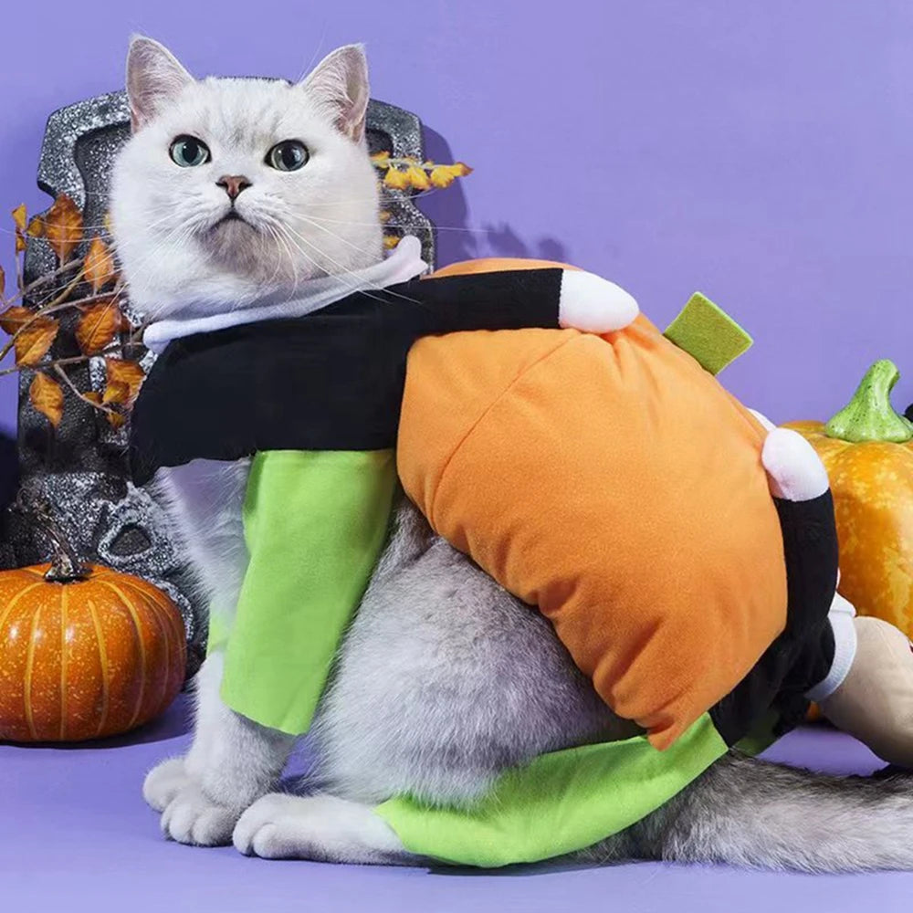 Funny Pet Cosplay Costume for Small and Medium Dogs and Cats Pumpkin Leotard for Halloween and Christmas